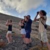 Birdwatching the Raptors - Image 3