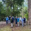 Birdwatching - The Endemics - Image 4