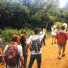Butterfly Watching - Image 6