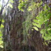 Hell's River walk - Image 2