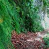 Hell's River walk - Image 3
