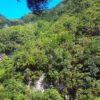 Hell's River walk - Image 4