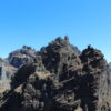 Madeira Petrels - Image 2