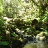Sky to Sea walks - Image 7