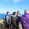 Geology Tour - Madeira's Origins & Volcanoes - Image 5
