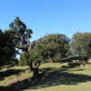 Larano Walk - Half Day - Image 3