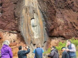 Geology Tour - Madeira's Origins & Volcanoes