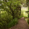 Sky to Sea walks - Image 8
