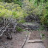 Sky to Sea walks - Image 2